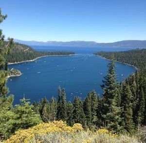 Meet your Posher, Mitchell